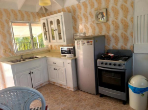 Cozy Urban Punta Cana House 4